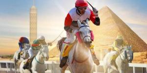 مصر تستضيف إحدى محطات كأس رئيس دولة الإمارات للخيول العربية الأصيلة