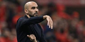 بـ5 انتصارات.. الركراكي يعادل مارداسكو ورونار كأكثر مدربي المنتخب المغربي فوزا في "الكان"