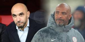 شيل مدرب نيجيريا: "أرفع القبعة للركراكي.. ضعوا أنفسكم مكان مدرب يخوض كأس أفريقيا في بلده"