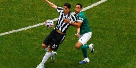 بسبب الطقس.. لقطة طريفة من لاعب بالميراس أثناء مباراة بوتافوجو