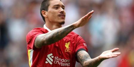 حُسمت.. الهلال يتوصل لاتفاق نهائي مع ليفربول بشأن ضم نونيز