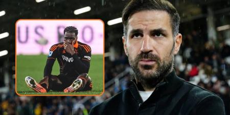 فابريغاس عن لاعبه دياو بعد إصابته قبل كأس أفريقيا: "لم يكن علي إشراكه ولكن بما أننا ندفع راتبه قمنا على الأقل بالمخاطرة!"