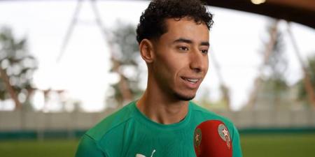 أنس صلاح الدين: "نحن جاهزون ونعمل بجد كبير كل يوم من أجل الفوز بكأس أفريقيا"