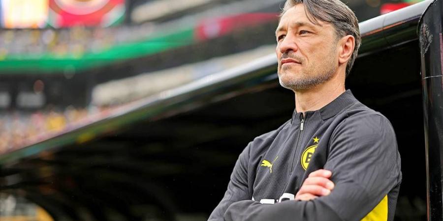 مدرب بوروسيا دورتموند: "الأجواء الحارة تؤثر على الكثير من الفرق بمونديال الأندية والأوروبيون يواجهون وقتا صعبا"