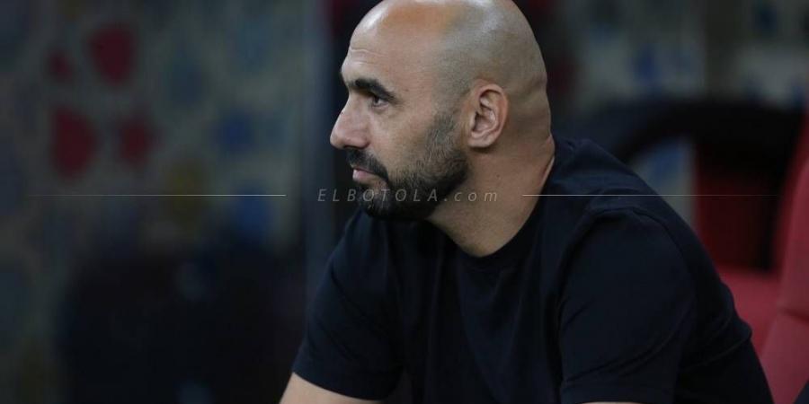 الركراكي عن مواجهة الأرجنتين وديا: "ننتظر الرد خلال الأيام المقبلة.. نريد اللعب ضد منتخبات كبرى لكن الأمر لا يعتمد علينا فقط"