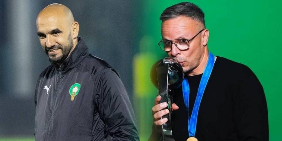 جوائز "الكاف"/ الركراكي ووهبي ضمن القائمة النهائية لأفضل مدرب في أفريقيا لسنة 2025