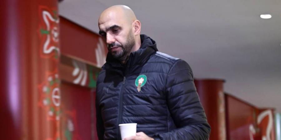 الركراكي: "الحمد لله أن رَاسي قَاصحْ.. ربما الجيل الصاعد شافنا في نصف نهائي كأس العالم واعتقد أن هذه هي الكرة المغربية"