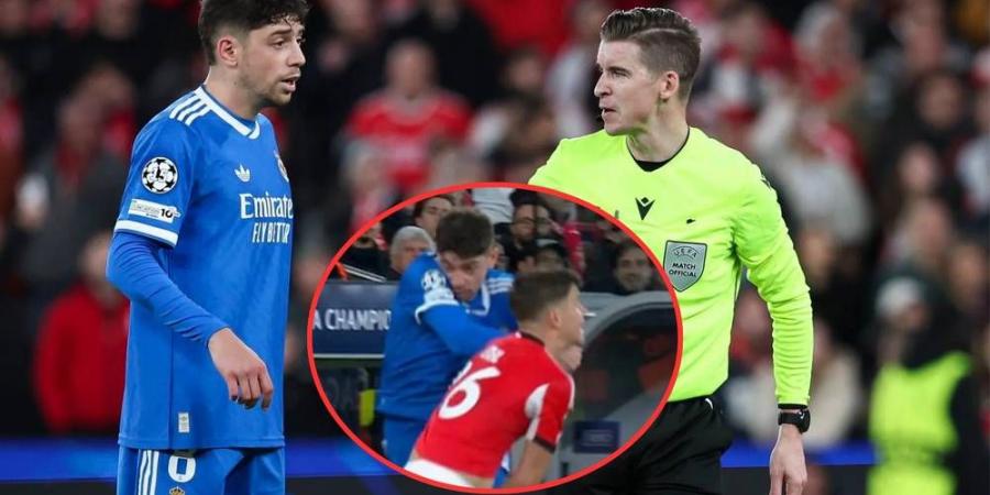 بنفيكا يقدم شكوى رسمية لـ"يويفا" ضد فالفيردي بعد "لكمه" صامويل دال