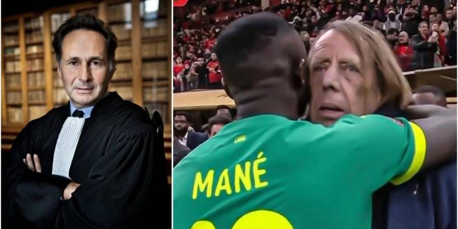 سور (محامي الاتحاد السنغالي): "لا نتحدث عن الفساد بعد.. المغرب فاز 3-0 لكن لم يُعلن أنه بطل كأس الأمم الأفريقية"